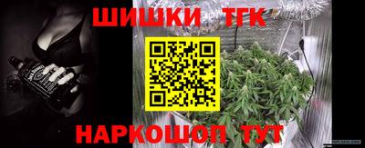 СК Лесосибирск