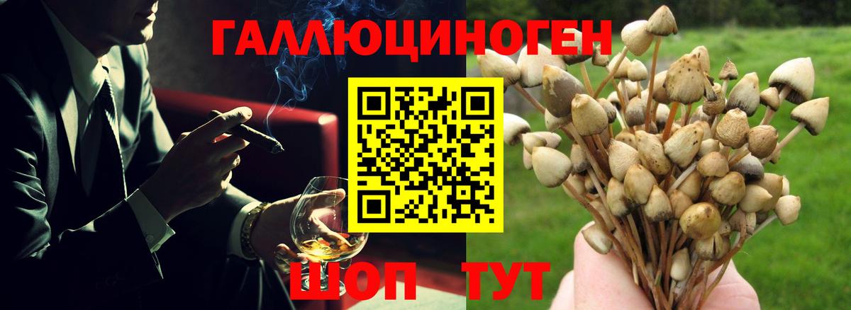 Шатура  Псилоцибиновые грибы ЛСД  Галлюциногенные грибы Psilocybe  Вход с VPN 